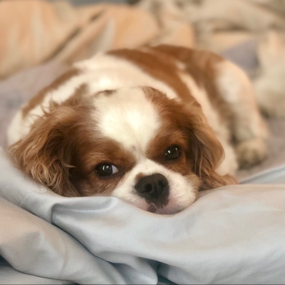 Meet your Posher, Mary kaye - Picture 1 of 1